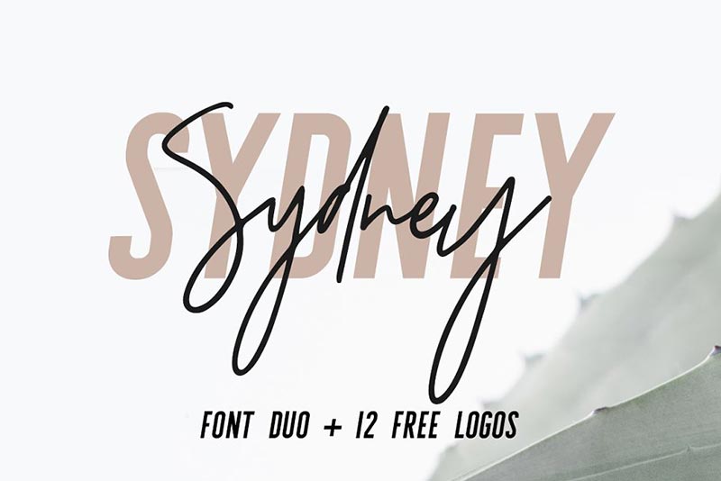 Font Chữ Đẹp 012 - Sydney Font Duo