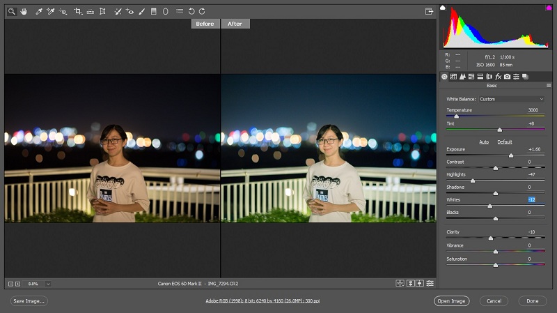 Camera Raw là gì? Ứng dụng và cách dùng preset cho Camera Raw