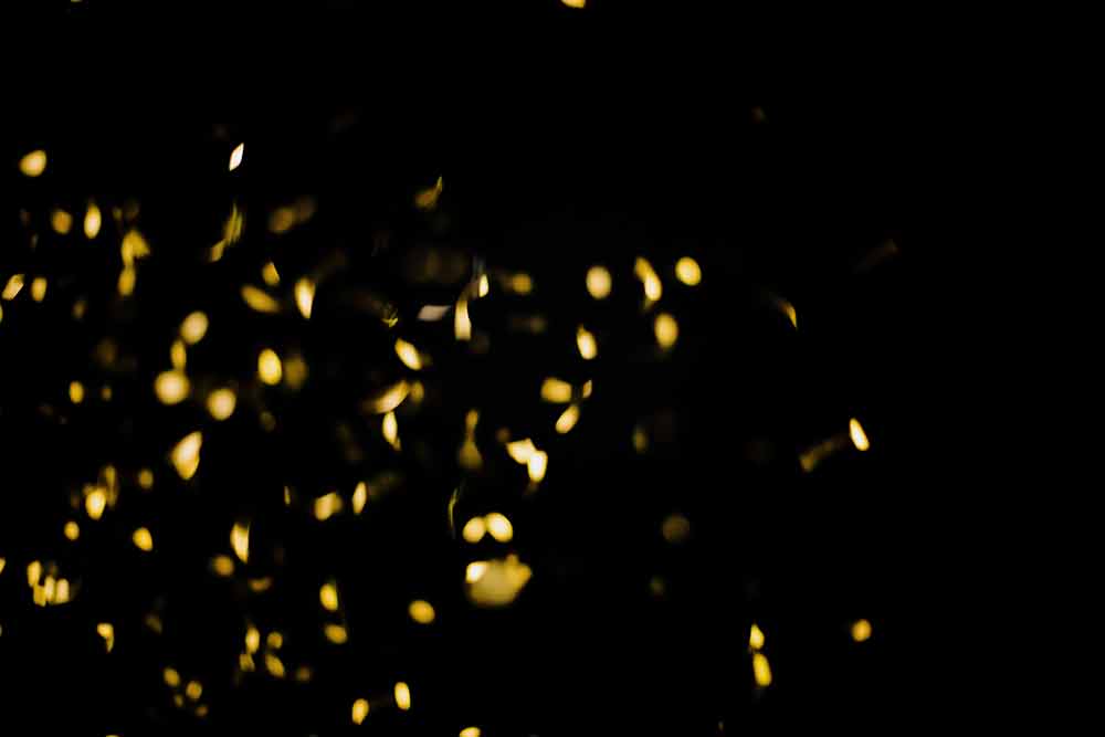 SD BL013 Golden Lights