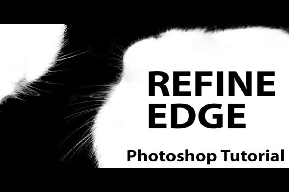 Refine Edge trong Photoshop