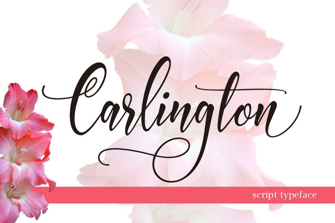 Font Chữ Đẹp 662 Carlington