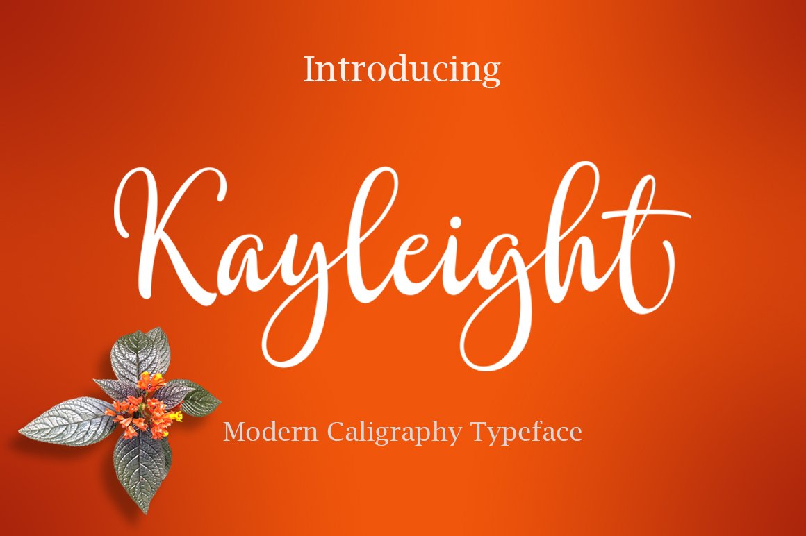 Font Chữ Đẹp 398 Kayleight