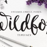 Font chữ đẹp WildFox 2024 - Font 593 sẽ giúp bạn tạo ra những bức thiết kế đầy ấn tượng và sáng tạo. Với font chữ đơn giản nhưng mạnh mẽ, bạn có thể dễ dàng sử dụng cho nhiều loại hình ảnh và ấn phẩm khác nhau. Tìm hiểu thêm về font chữ độc đáo này trên Kho Tài Nguyên Đồ Họa Photoshop và khám phá tiềm năng của bạn!