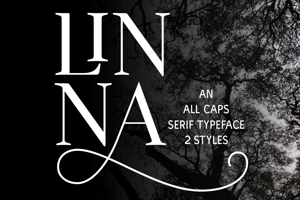 Font Chữ Đẹp 410 Linna