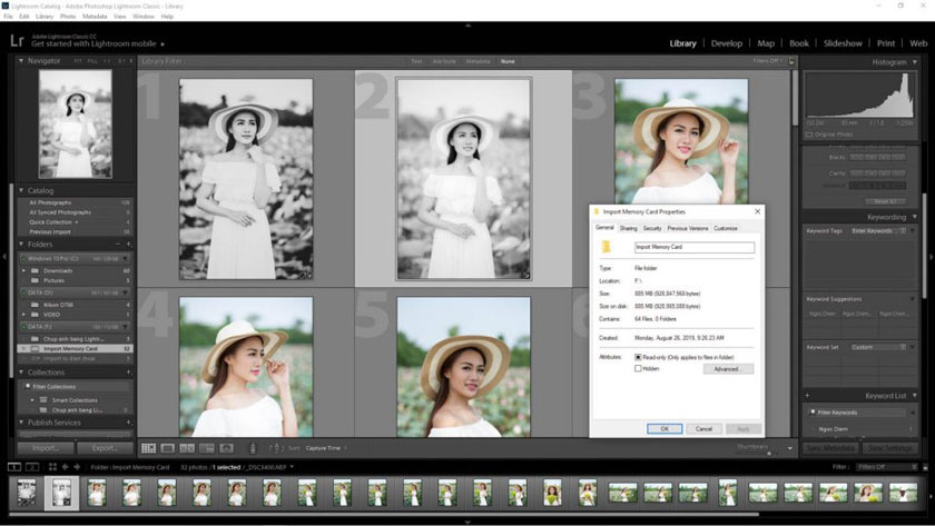 tác dụng của catalog trong lightroom là gì