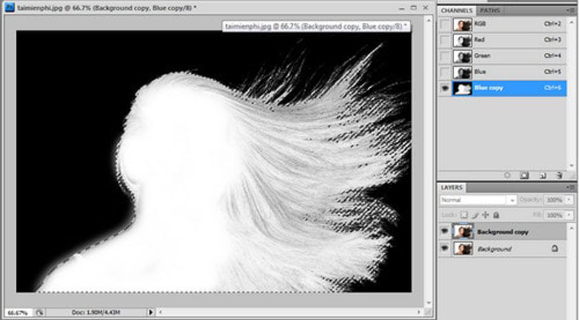 Kĩ thuật tách tóc bằng chức năng Channel trong Photoshop