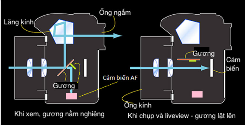 Nguyên lý làm việc của máy DSLR